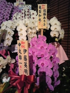 肳(*LtM*)