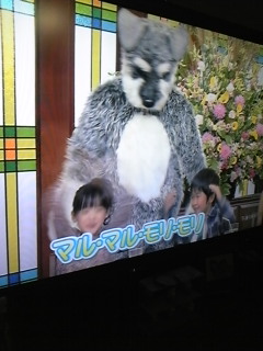 킷ł(*LtM*)IIIIII