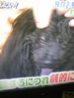 ꂼbvI