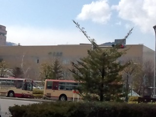 wȂ[(*^-^*)